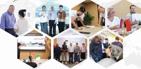 product-459-226 product-459-226